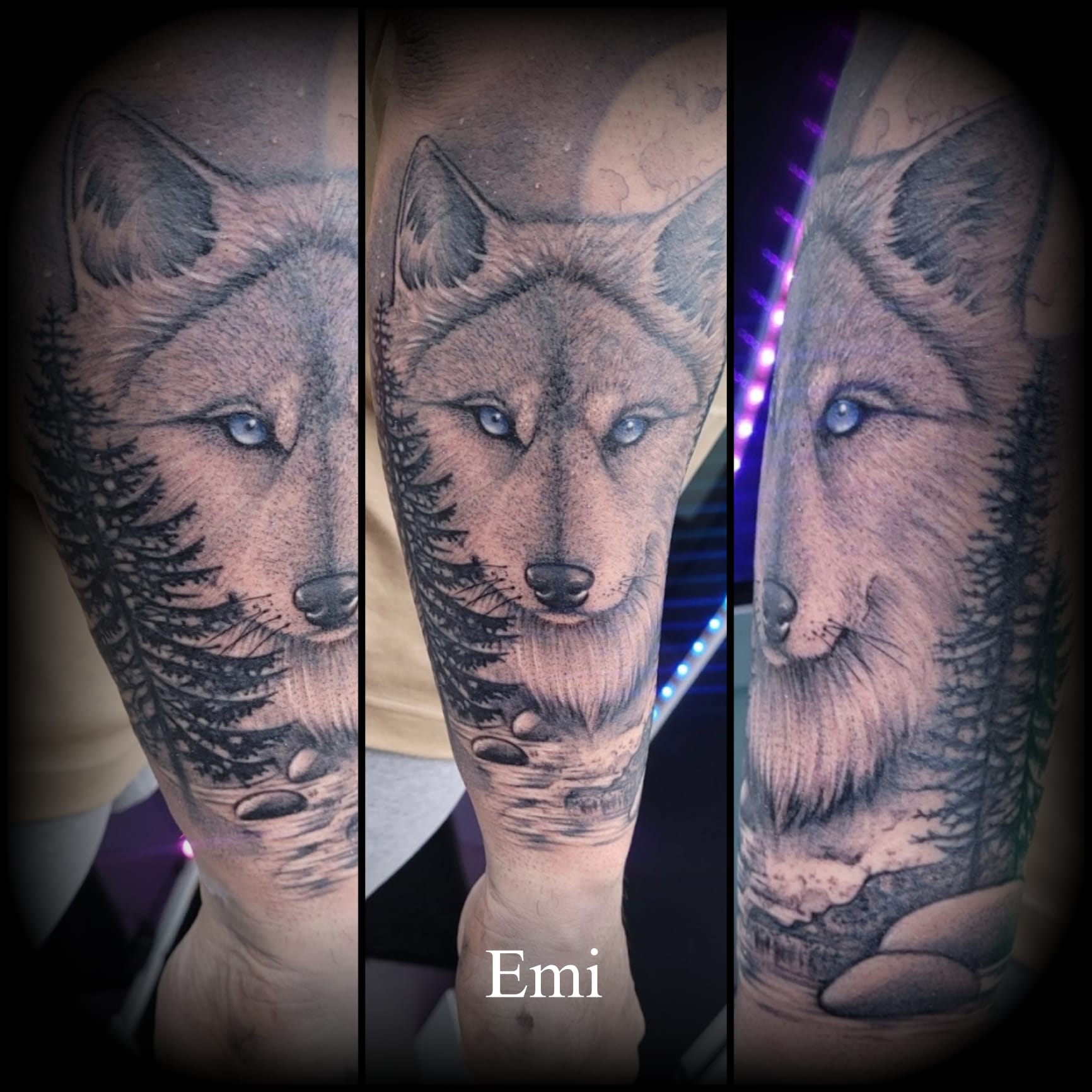 Galerie Tatouages Animaux